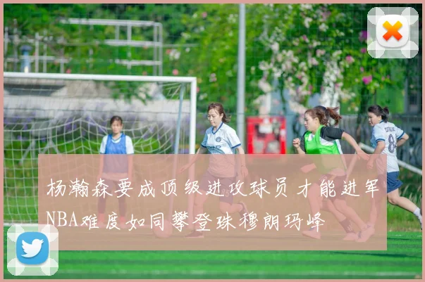 杨瀚森要成顶级进攻球员才能进军NBA难度如同攀登珠穆朗玛峰